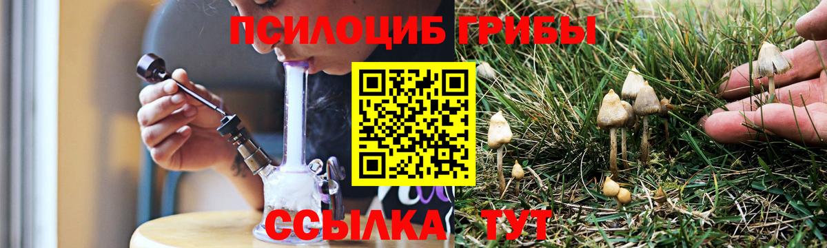 сколько стоит  Галлюциногенные грибы Magic Shrooms  Сибай  Вход с VPN  Псилоцибиновые грибы Psilocybe 