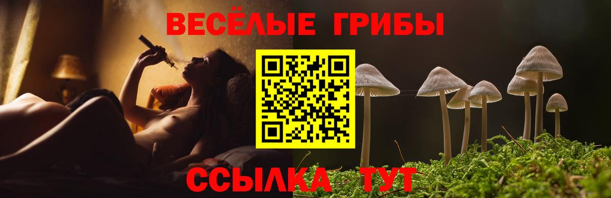 Псилоцибиновые грибы Cubensis Сибай